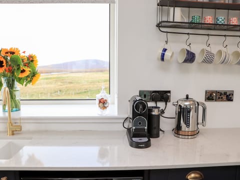 Fridge, dishwasher, electric kettle, toaster