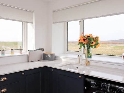 Fridge, dishwasher, electric kettle, toaster