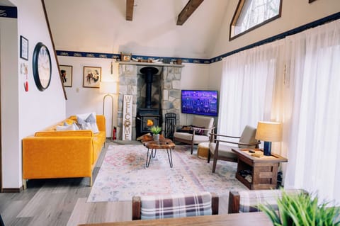 Living room with a wood burning stove and TV.