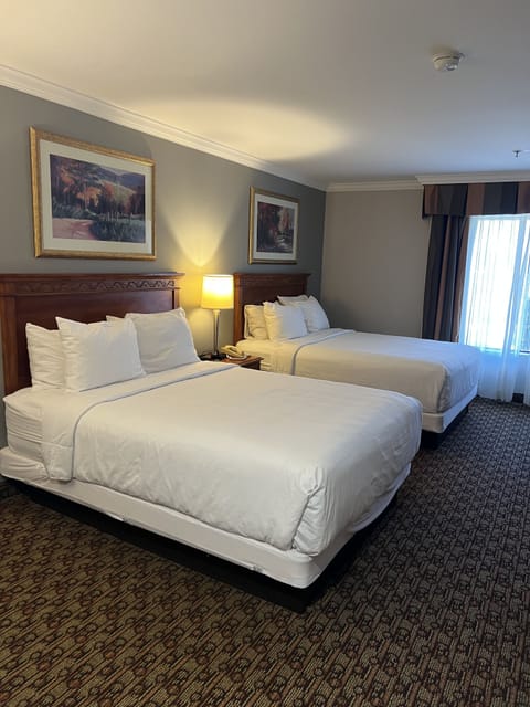 Standard Room, 2 Queen Beds, Non Smoking | 1 bedroom, desk, laptop workspace, blackout drapes