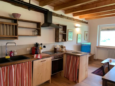 Full-size fridge, oven, stovetop, dishwasher