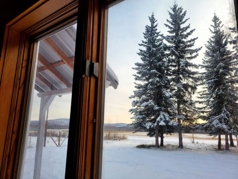 Your living room view!