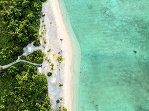 On the beach, white sand, scuba diving, fishing