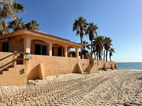 House, Palm Tree, Tree, Nature, Outdoors