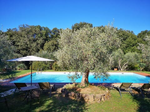 Water, Sky, Plant, Property, Plant Community, Swimming Pool, Azure, Natural Landscape, Shade, Tree