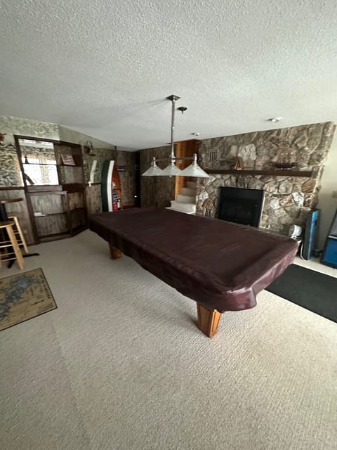 Cabin - Living Room - Lower Level Walk Out