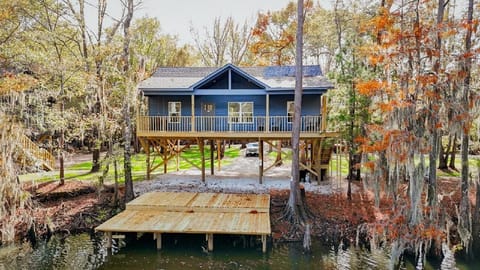 The Lily Pad