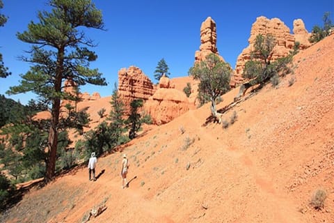 Brian Head offers a natural alpine beauty that attracts thousands.
