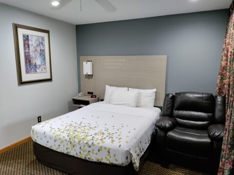 Standard Room, 1 Queen Bed, Pool View, Ground Floor | Desk, laptop workspace, blackout drapes, free WiFi