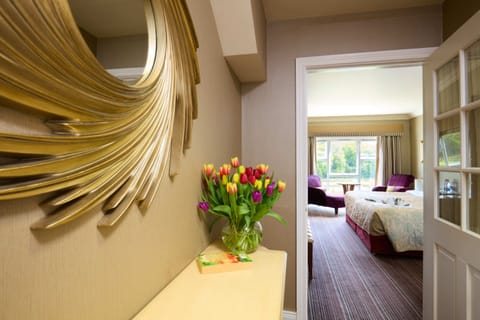 Executive Double Room | In-room safe, desk, blackout drapes, iron/ironing board