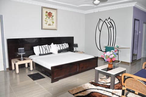 Laptop workspace, WiFi (free), individually furnished