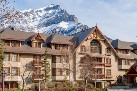 You will love your stay in this location!