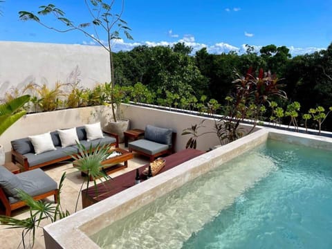 Huge private rooftop with plunge pool (with unobstructed jungle views) 