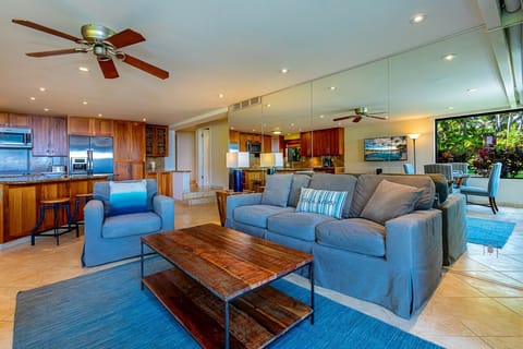 Entrance to the living room from the lanai