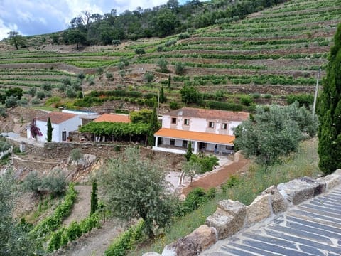A Quinta da Salgueira