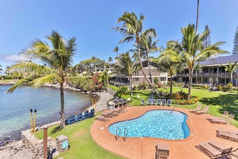 Tropical oceanfront retreat featuring a sparkling pool surrounded by swaying palms, lounge chairs, and stunning coastal views. Reference "pool" in your inquiry and get a free welcome gift through December 20th of 2025.