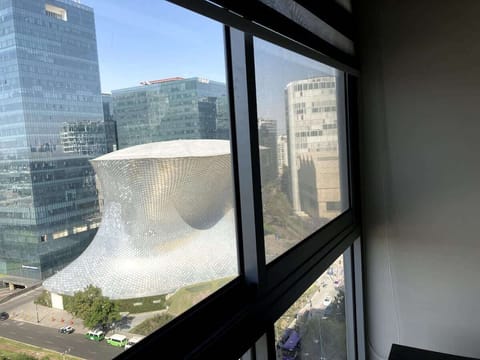 Nuestra hermosa vista! / Our beautiful view