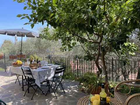 Table, Furniture, Property, Plant, Chair, Leaf, Shade, Tree, Outdoor Table, Outdoor Furniture