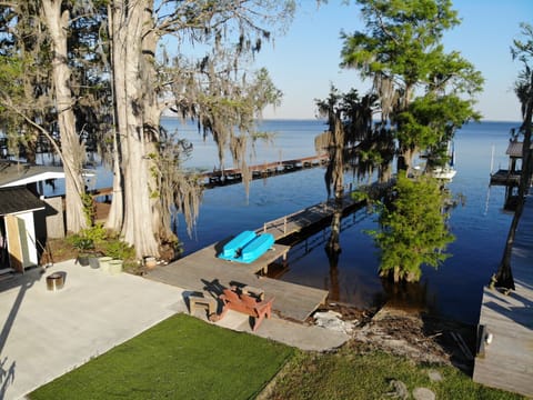 bird's eye view of the backyard 