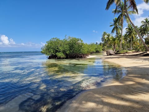 Beach nearby, white sand, beach shuttle, beach towels