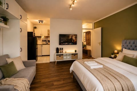 Stylish Studio Retreat Featuring a Comfortable Queen Bed, Smart TV, Kitchenette, and Relaxing Living Space