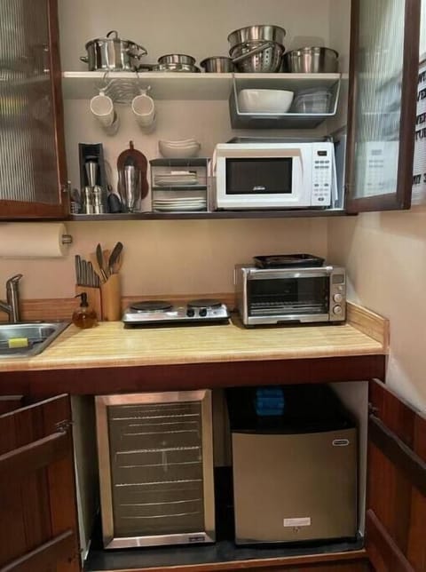 Small fridge, small freezer, convection oven, hot plate and microwave