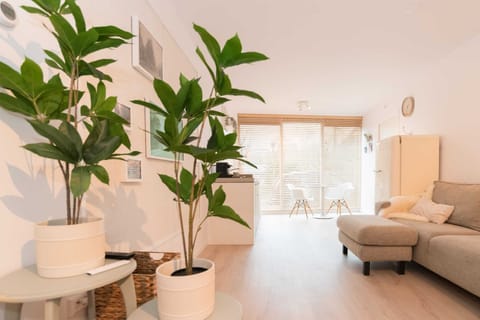 Bright and cozy studio with lush indoor plants, comfy sofa and large windows — perfect for relaxing after a day in Schagen.