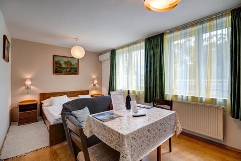 Superior studio apartment nr. 2 1