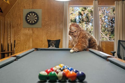 Bigfoot enjoying the pool table.