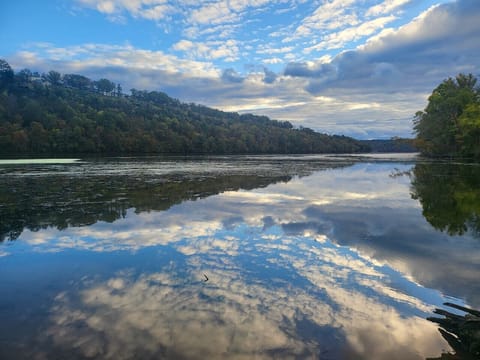 This Picture was taken standing on a 2 minute walk down to the lake. Come and enjoy a walk or throw a line in the water!