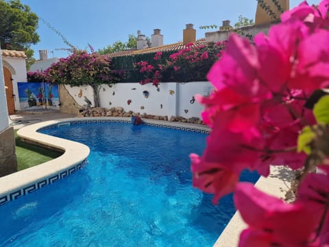 View of the wonderful pool at House Don Quichotte, complemented by a practical outdoor shower and blooming bougainvillea for Mediterranean flair.