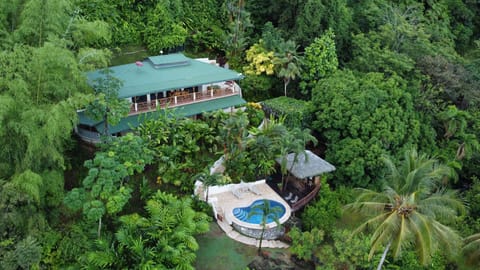 Wonderful ocean views and also nestled in the jungle.. Privacy. 