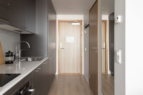 Medium studio with a view | Private kitchen | Full-size fridge, microwave, oven, stovetop