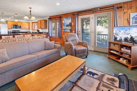 Fold out couch sleeps 2