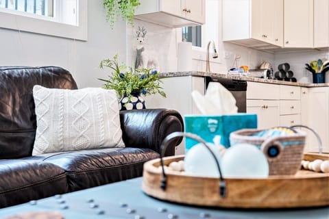 Sofa with queen pullout bed (linens included)