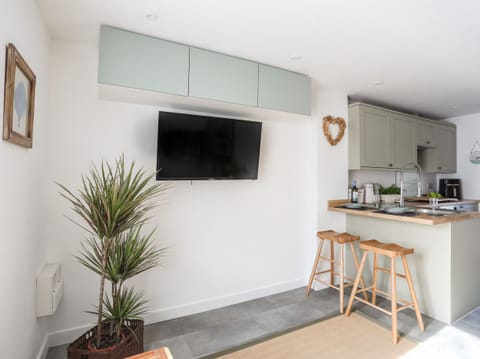 Fridge, electric kettle, toaster, cookware/dishes/utensils