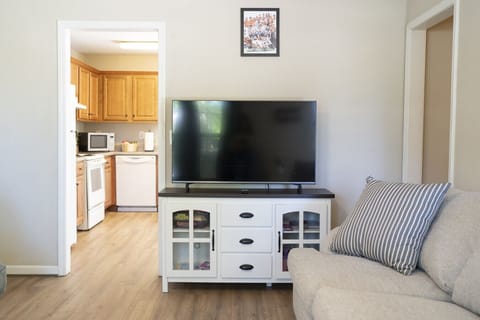 Living Room with TV, Couch + Futon