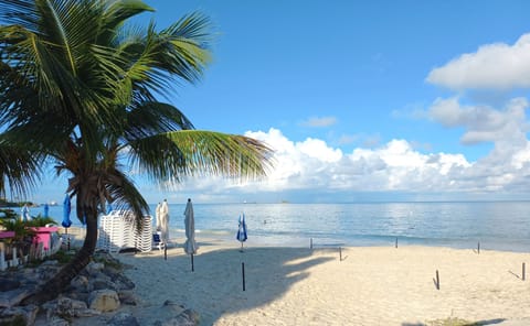Coconut Grove beach. Only 15 minutes away!