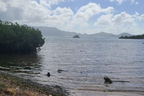 Beach
