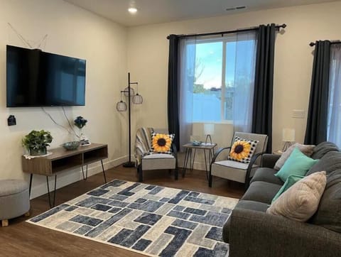 Living Room Area
