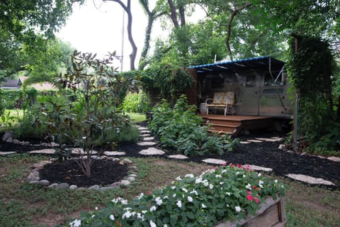 Backyard view