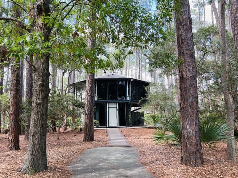 SeaPines Treetop Oasis