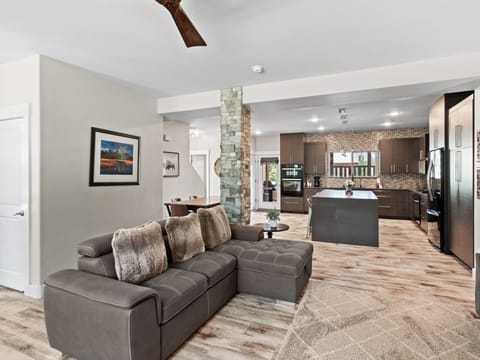 Living Area / Kitchen (Main Floor)