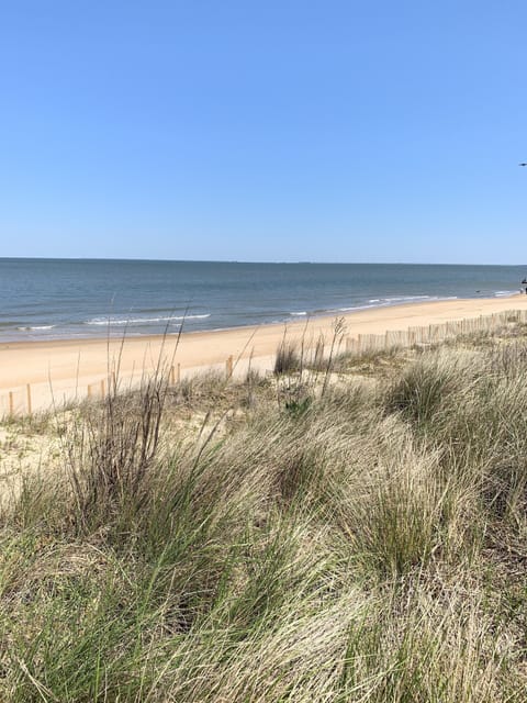 Studio | Beach | On the beach