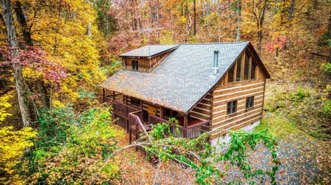 View of cabin if you're really tall