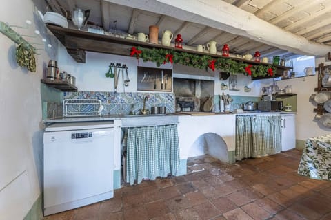 Autumn, Kitchen, Spring, Summer