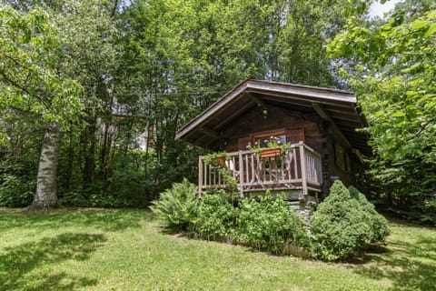 Garden, Terrace, Mountain Cabin