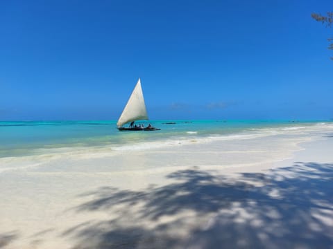 Beach nearby, white sand, scuba diving, snorkeling