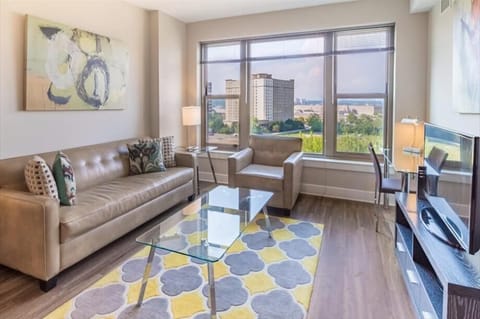 South Arlington Arlington 1 Bedroom Living Room