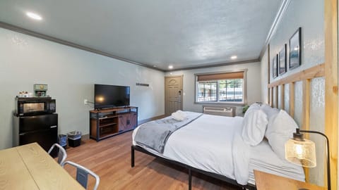 Bedroom with TV and Fridge